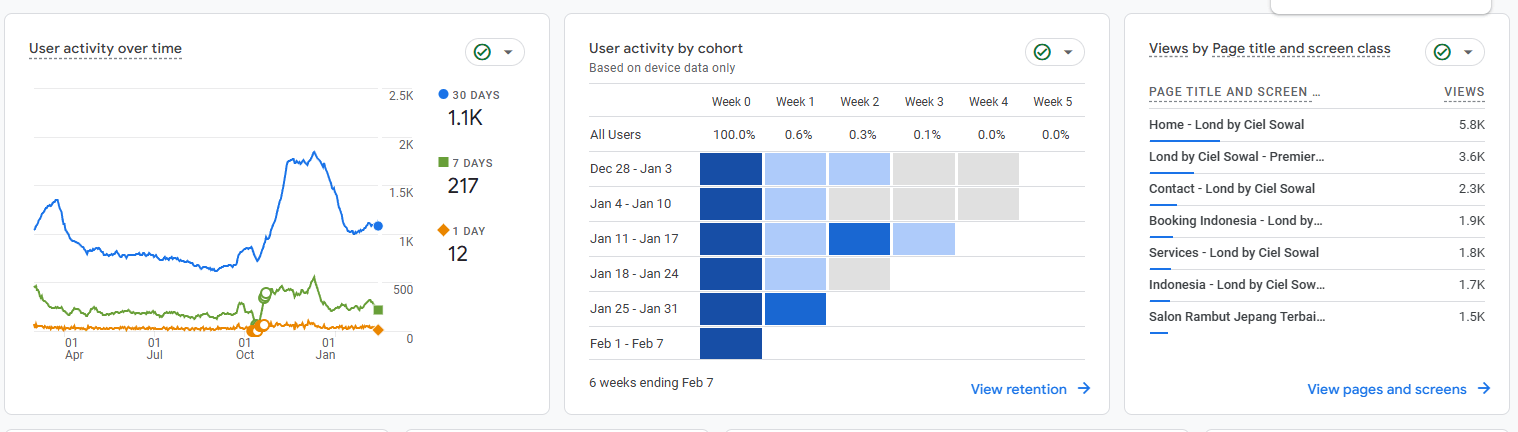 Dashboard Google Analytics 4 cielsowal.com: grafik aktivitas pengguna, kohort, dan tabel halaman paling banyak dilihat dari Home, halaman utama, Contact, Booking Indonesia, Services, Indonesia, sampai artikel Salon Rambut Jepang Terbaik